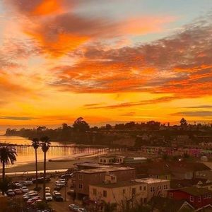 Meet your Posher, Norma